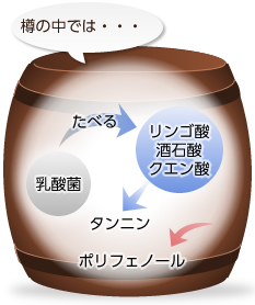 樽の中では